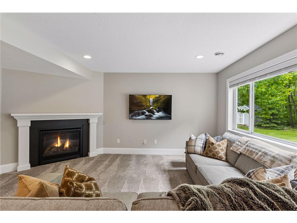 3224 Symphony Court Chaska MN 55318 7078991 image46