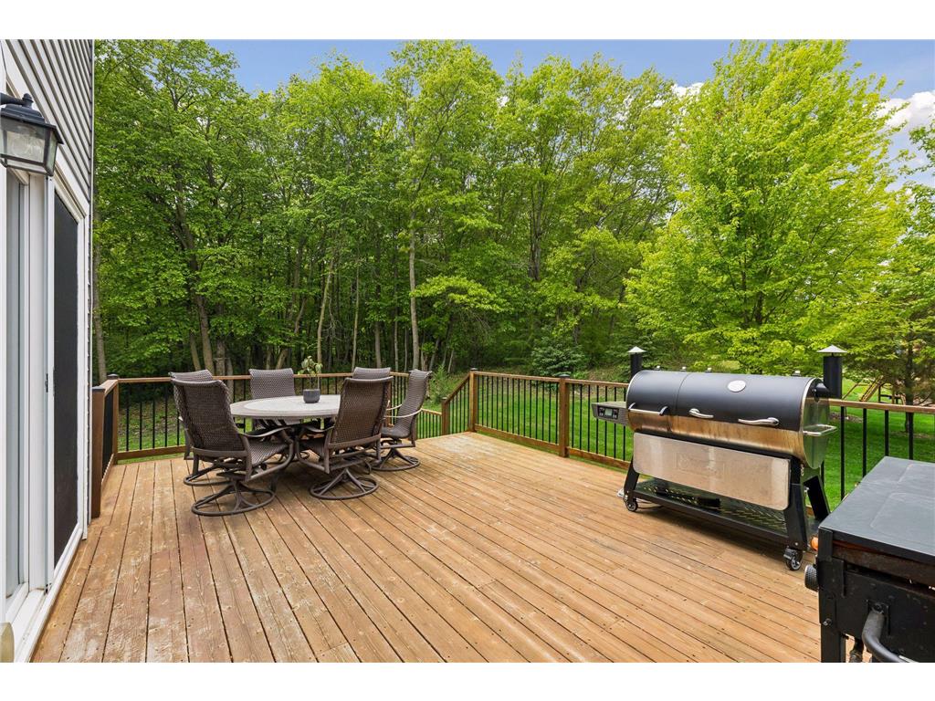 3224 Symphony Court Chaska MN 55318 7078991 image59