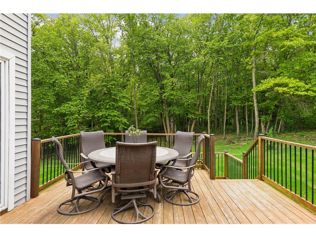 3224 Symphony Court Chaska MN 55318 7078991 image60