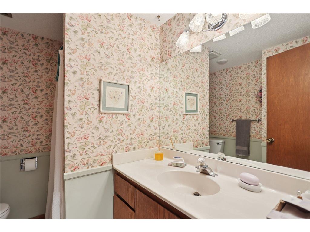 3225 465th Street Fish Lake Twp MN 55032 - Neander 6775382 image20