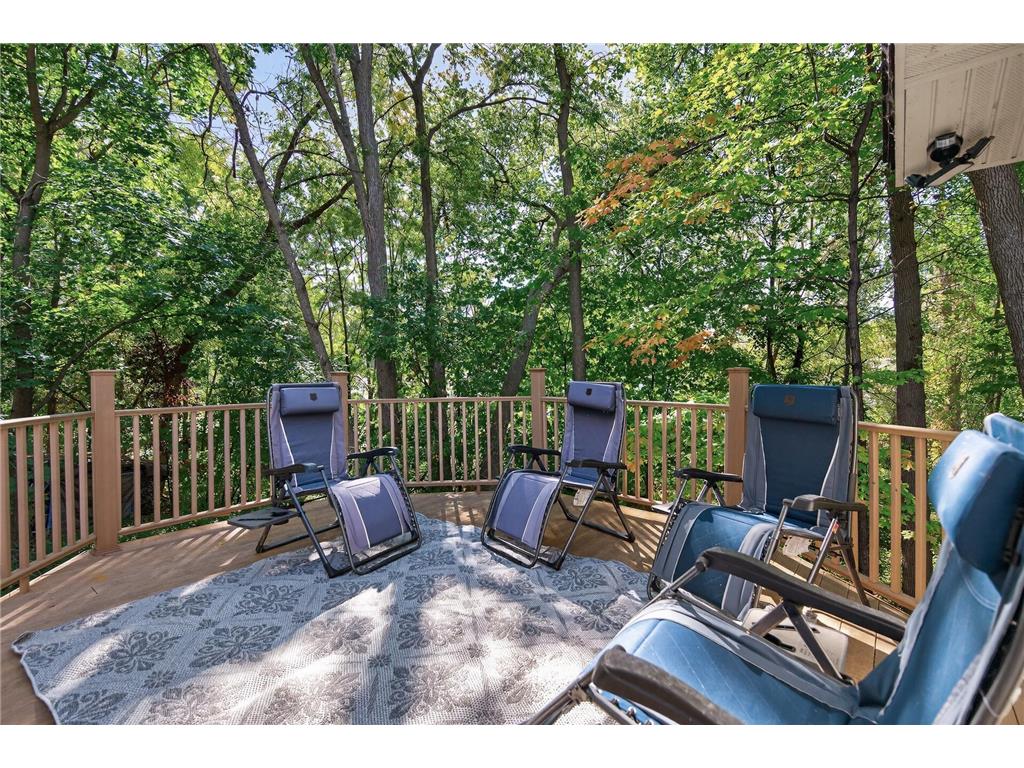 3225 Wellington Lane N Plymouth MN 55441 7020039 image52