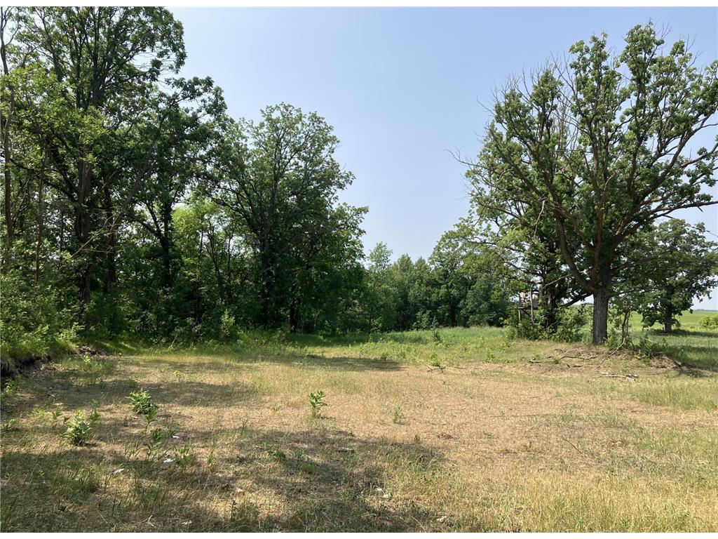 Xxx County Highway 14 Richville MN 56576 6390787 image1