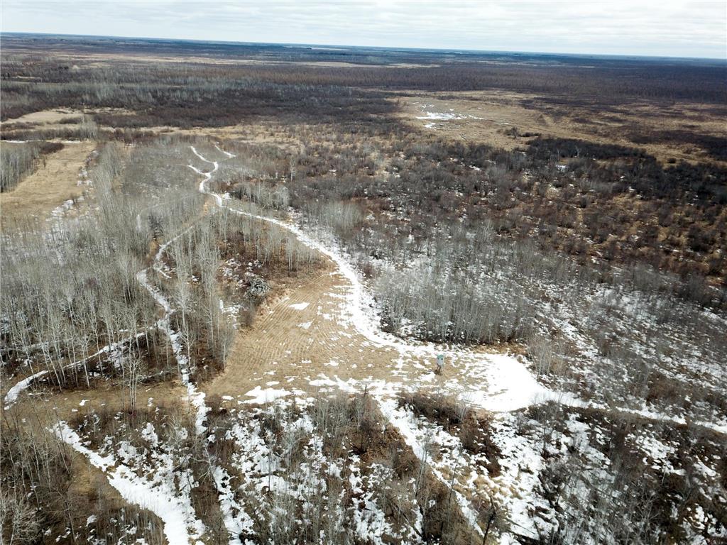 3228 County Road 1 SW Boone Twp MN 56623 7055011 image17