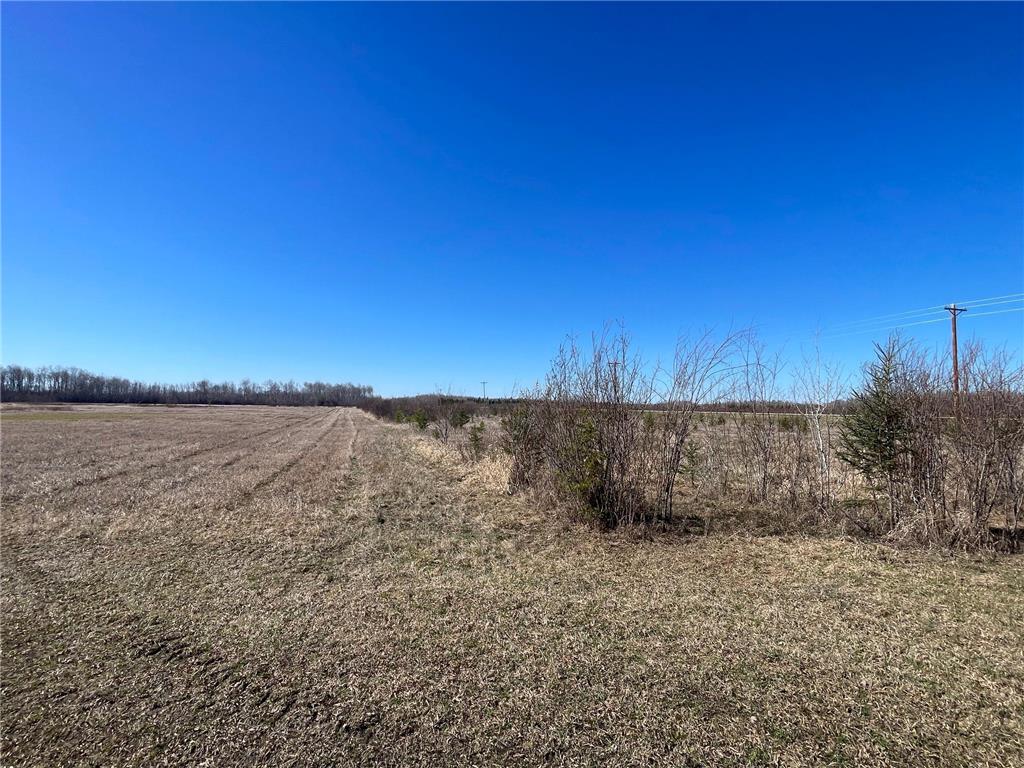 3228 County Road 1 SW Boone Twp MN 56623 7055011 image40