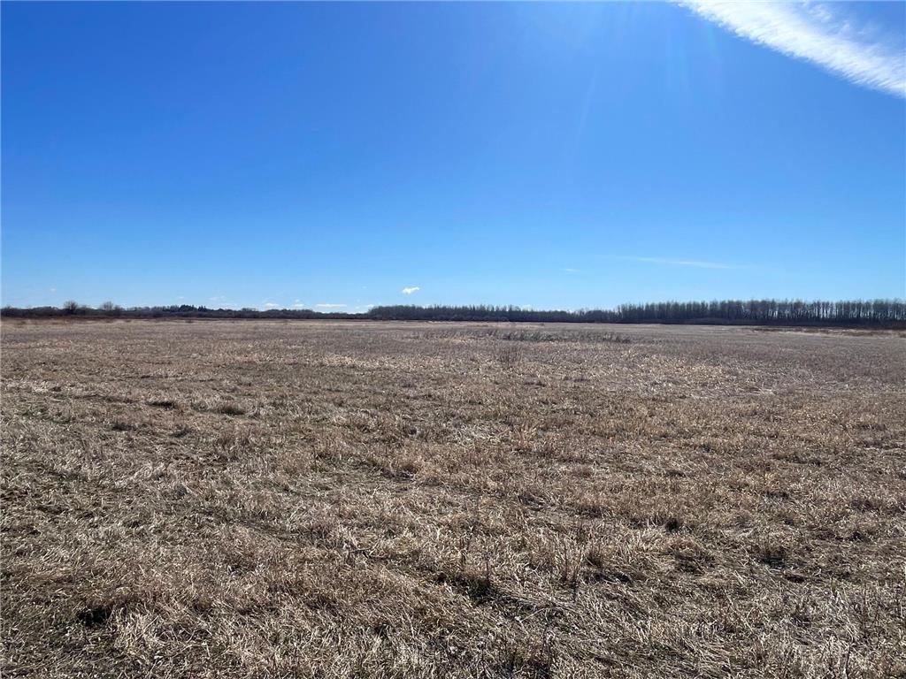 3228 County Road 1 SW Boone Twp MN 56623 7055011 image41