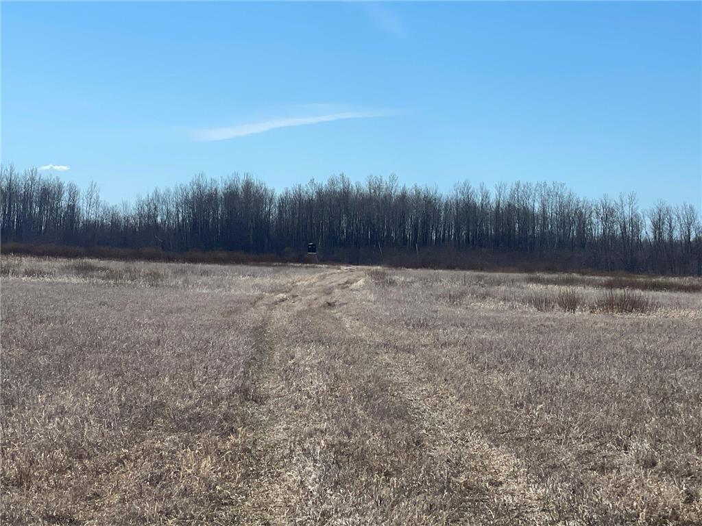 3228 County Road 1 SW Boone Twp MN 56623 7055011 image42