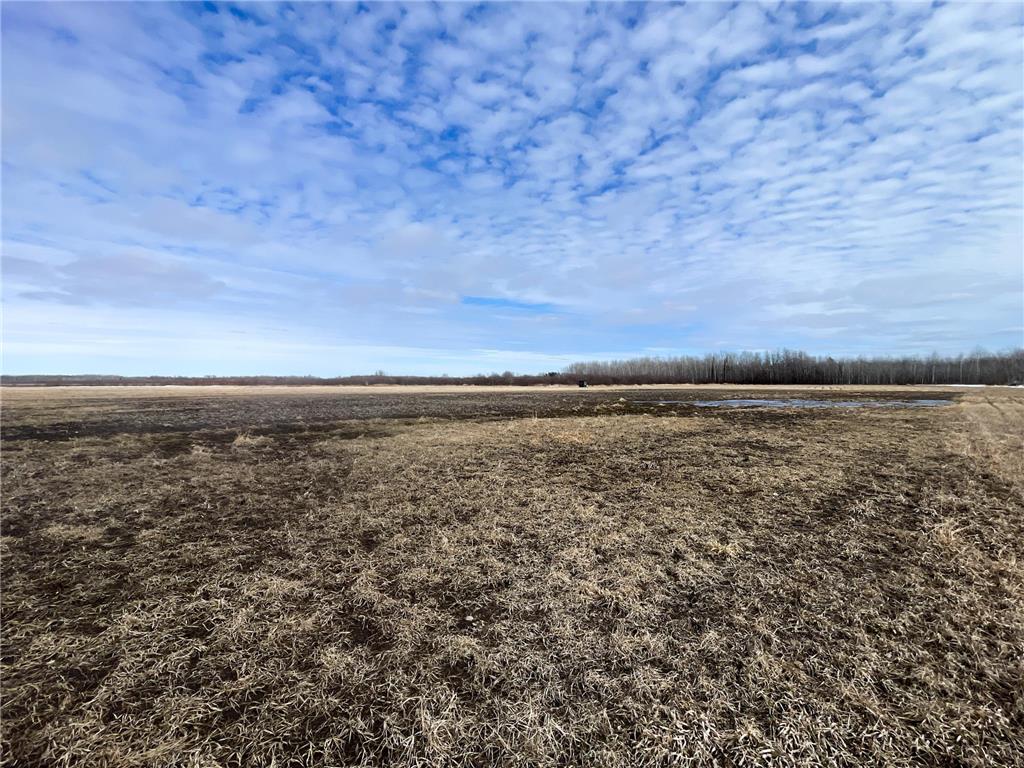 3228 County Road 1 SW Boone Twp MN 56623 7055011 image45