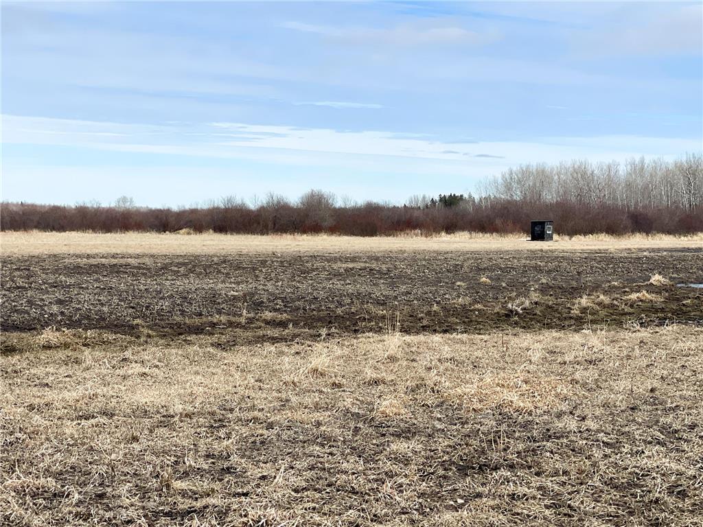 3228 County Road 1 SW Boone Twp MN 56623 7055011 image46