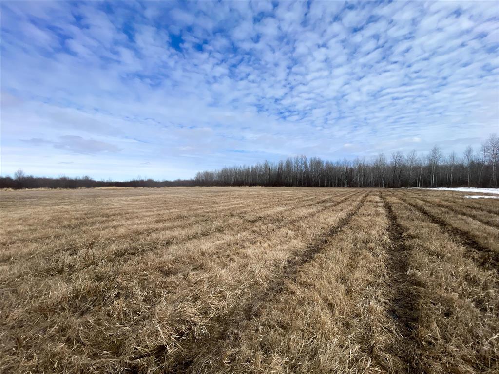 3228 County Road 1 SW Boone Twp MN 56623 7055011 image48