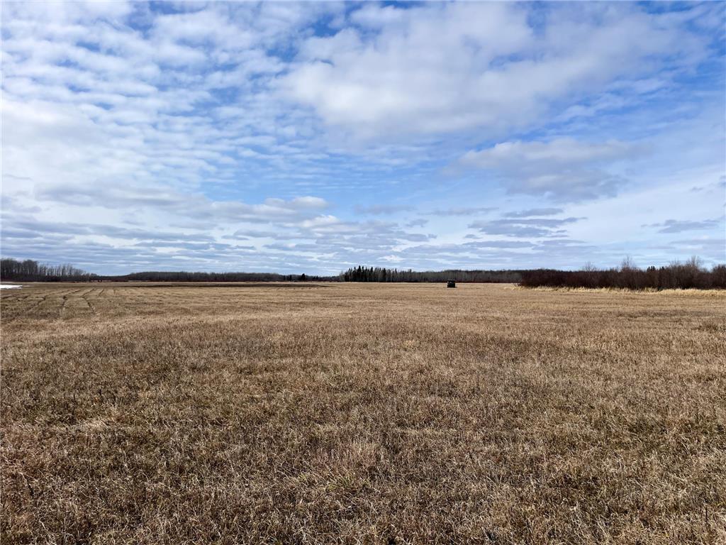 3228 County Road 1 SW Boone Twp MN 56623 7055011 image51