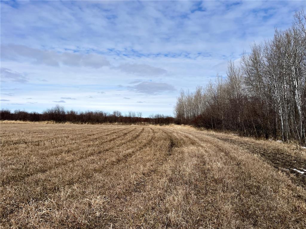 3228 County Road 1 SW Boone Twp MN 56623 7055011 image52