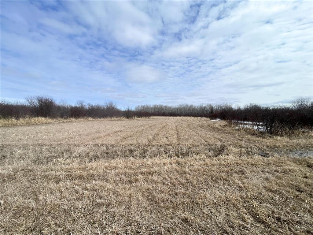 3228 County Road 1 SW Boone Twp MN 56623 7055011 image55