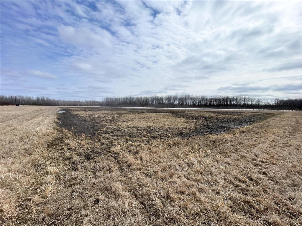 3228 County Road 1 SW Boone Twp MN 56623 7055011 image58