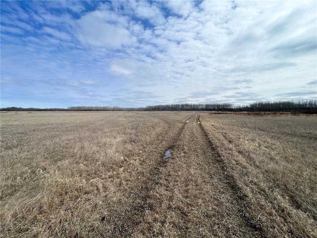 3228 County Road 1 SW Boone Twp MN 56623 7055011 image59