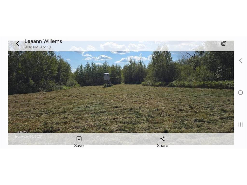 3228 County Road 1 SW Boone Twp MN 56623 7055011 image64