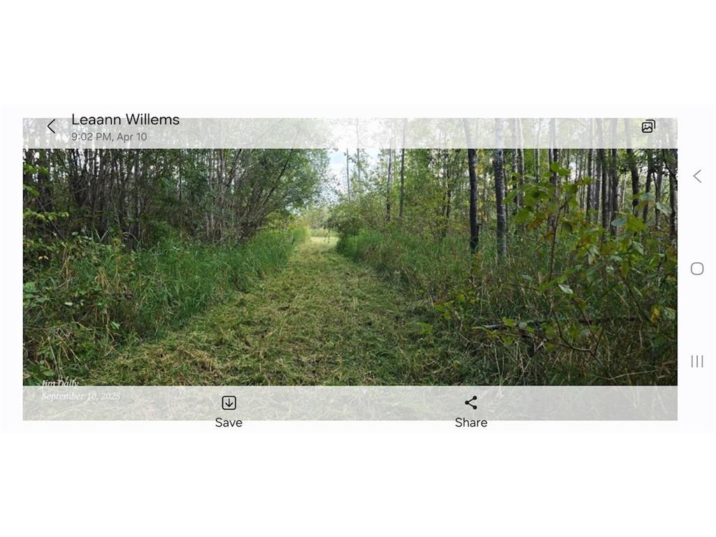 3228 County Road 1 SW Boone Twp MN 56623 7055011 image66