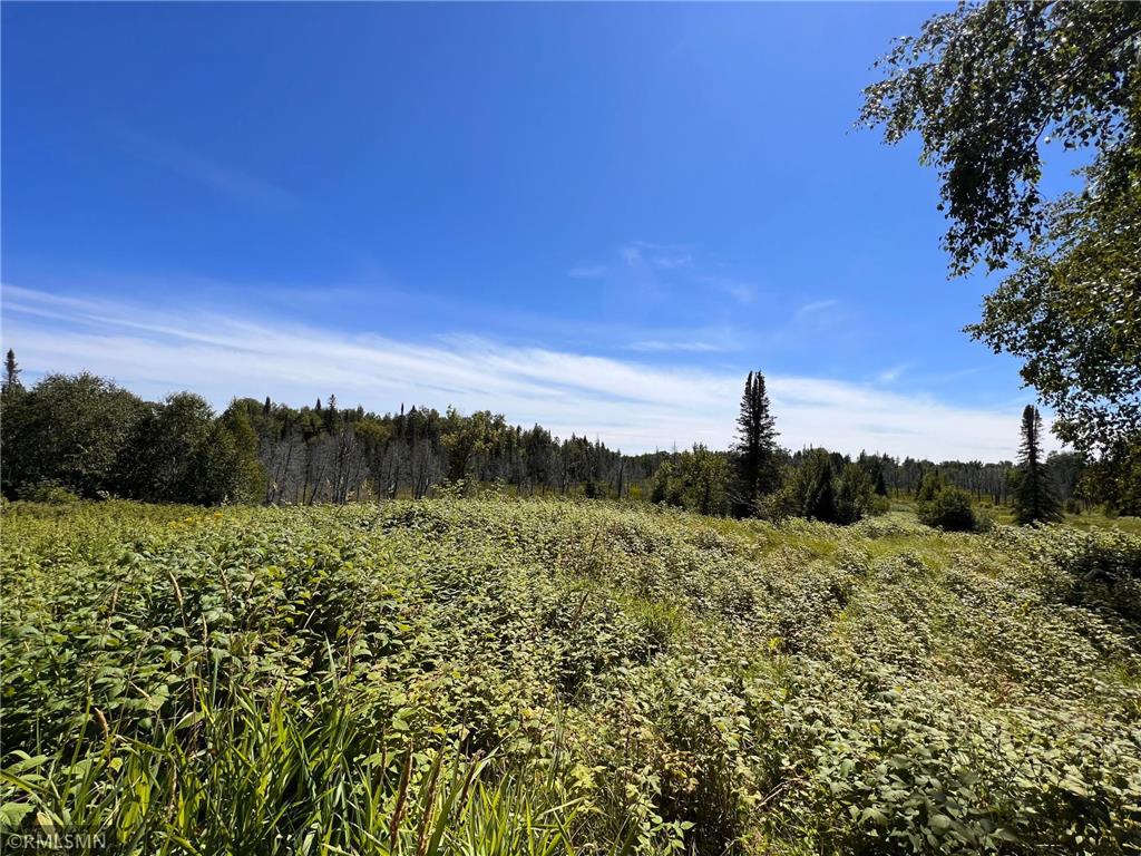 3228 Gods Wilderness Road Silver Bay MN 55614 6416244 image1