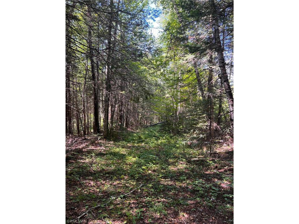 3228 Gods Wilderness Road Silver Bay MN 55614 6416244 image10