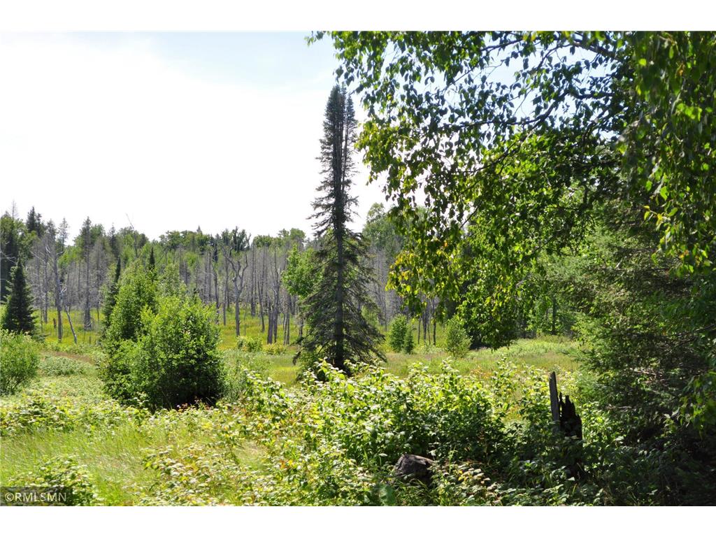 3228 Gods Wilderness Road Silver Bay MN 55614 6416244 image5