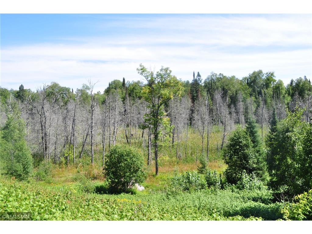 3228 Gods Wilderness Road Silver Bay MN 55614 6416244 image6