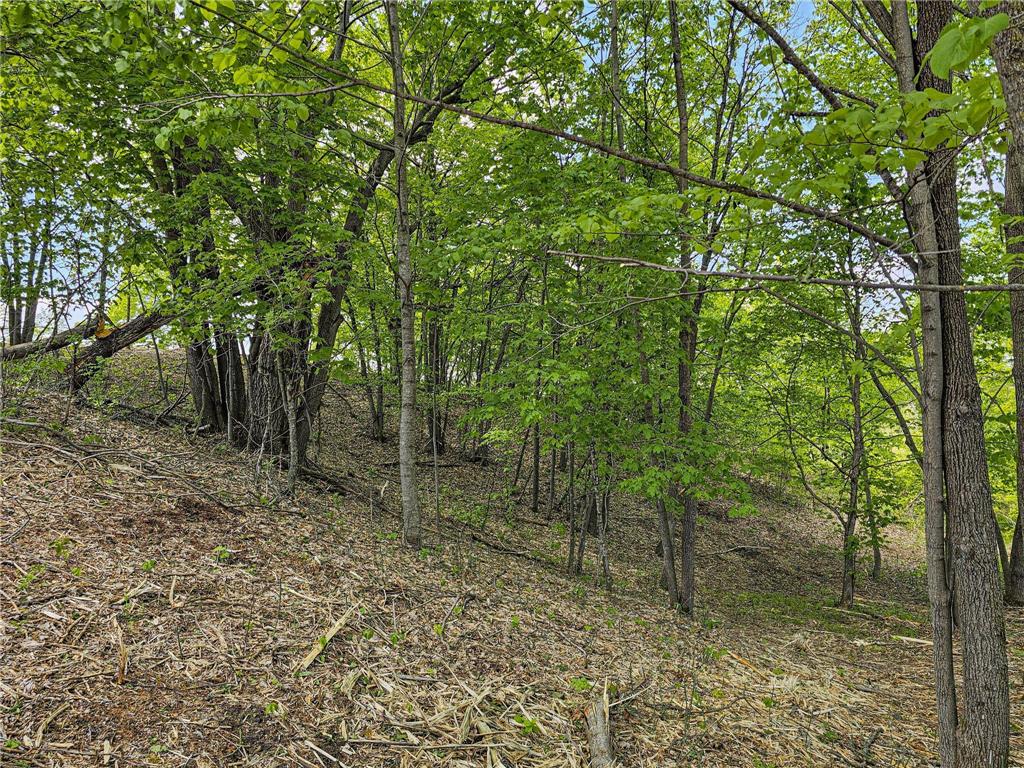 322XX 452nd St [A2] Vergas MN 56587 - East Loon 7052992 image10