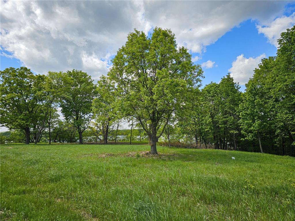 322XX 452nd St [A2] Vergas MN 56587 - East Loon 7052992 image6
