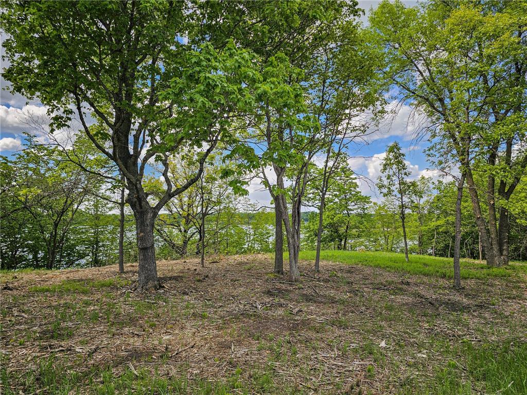 322XX 452nd St [A2] Vergas MN 56587 - East Loon 7052992 image7