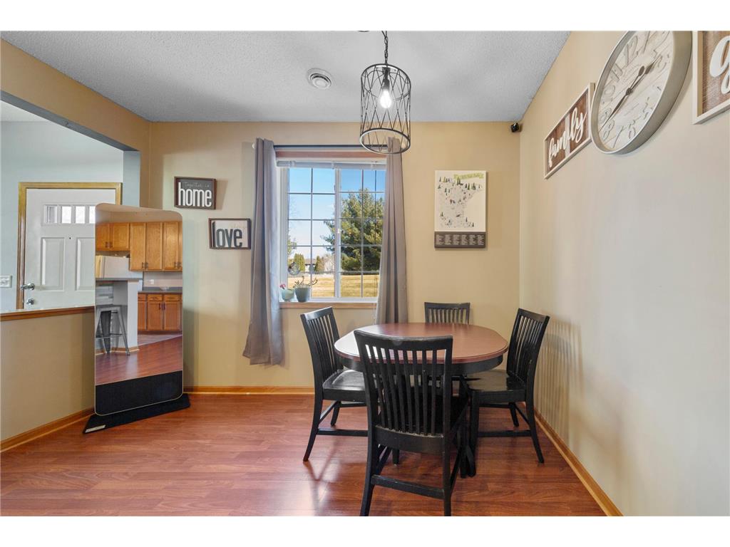 323 Frederick Circle #701 Hastings MN 55033 7033164 image8