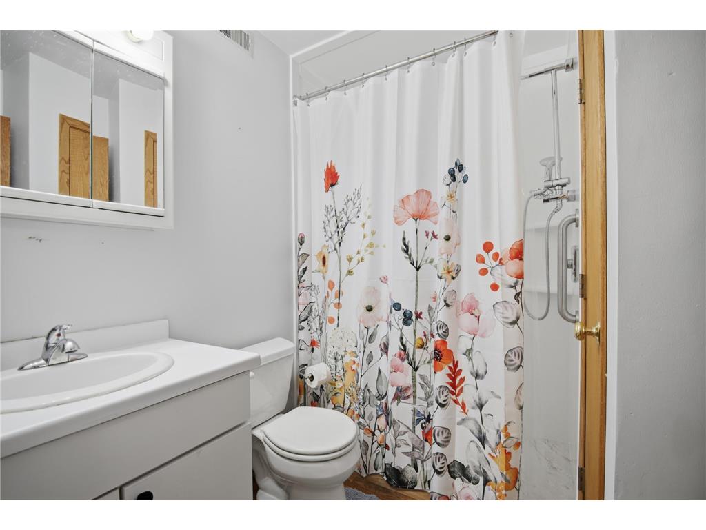 323 Mower Place Owatonna MN 55060 6825289 image14