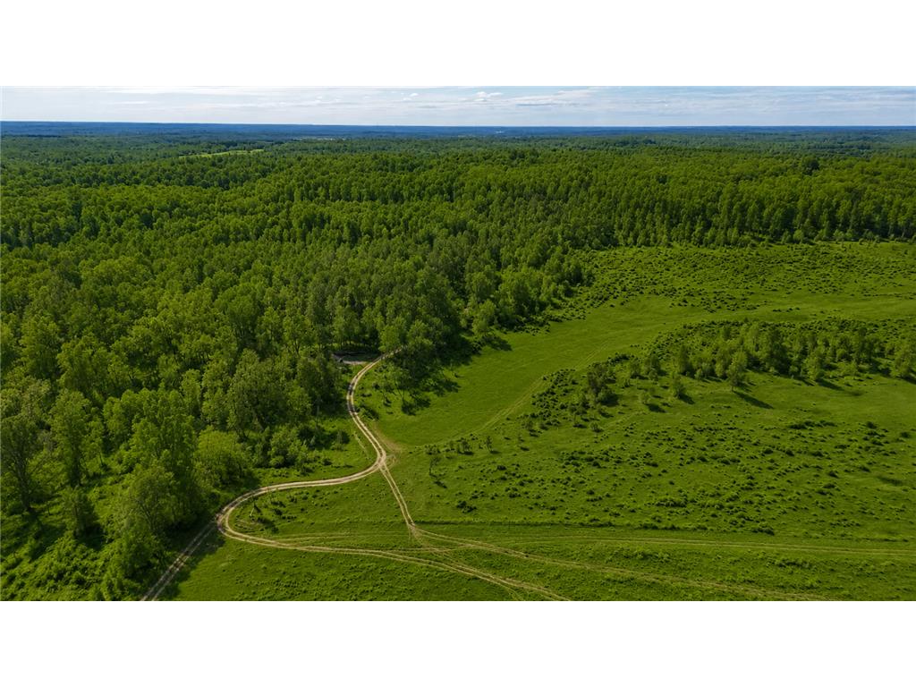 3231 Highway 65 Peace Twp MN 55051 7036612 image11
