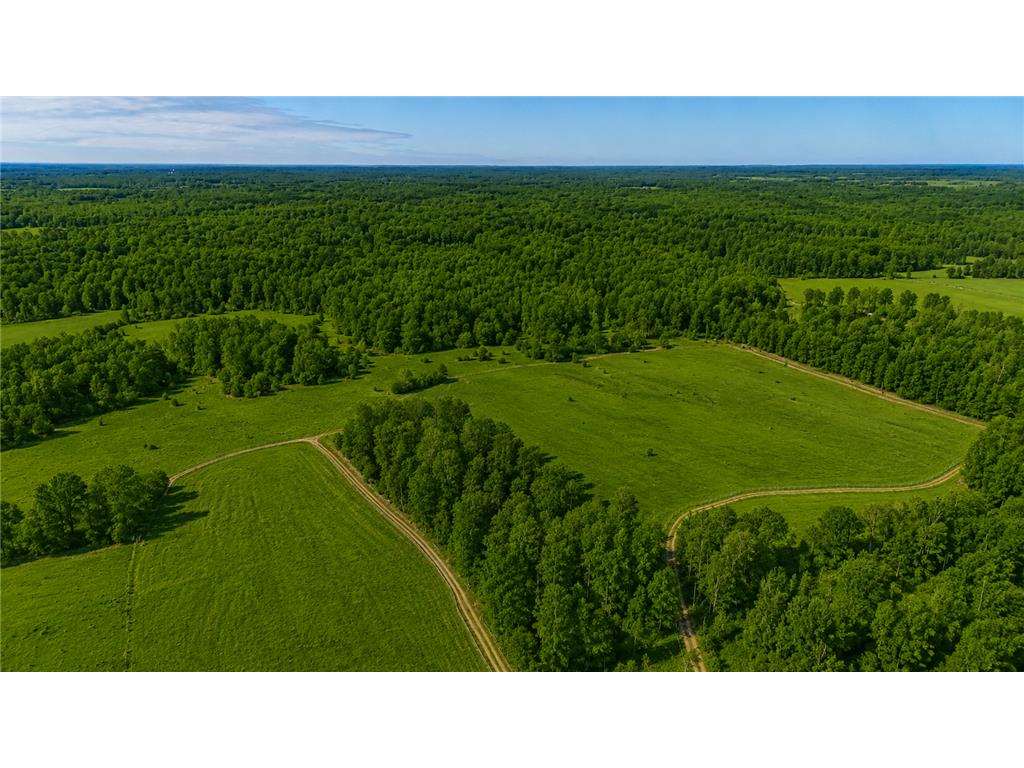 3231 Highway 65 Peace Twp MN 55051 7036612 image13