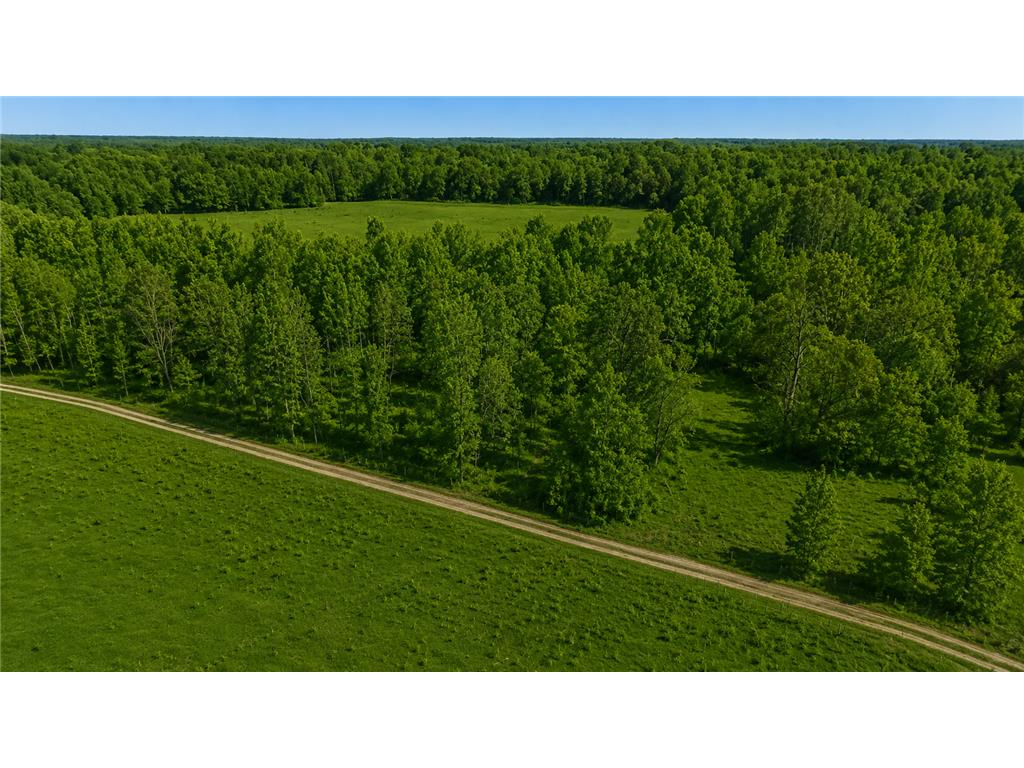 3231 Highway 65 Peace Twp MN 55051 7036612 image14