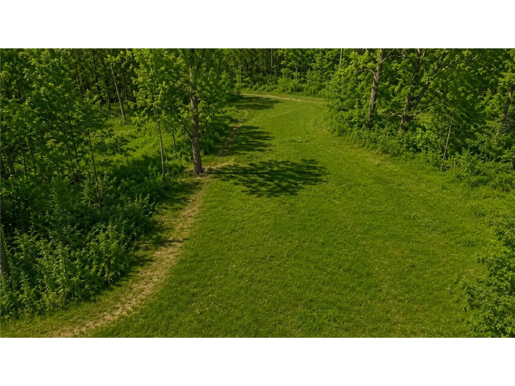 3231 Highway 65 Peace Twp MN 55051 7036612 image15