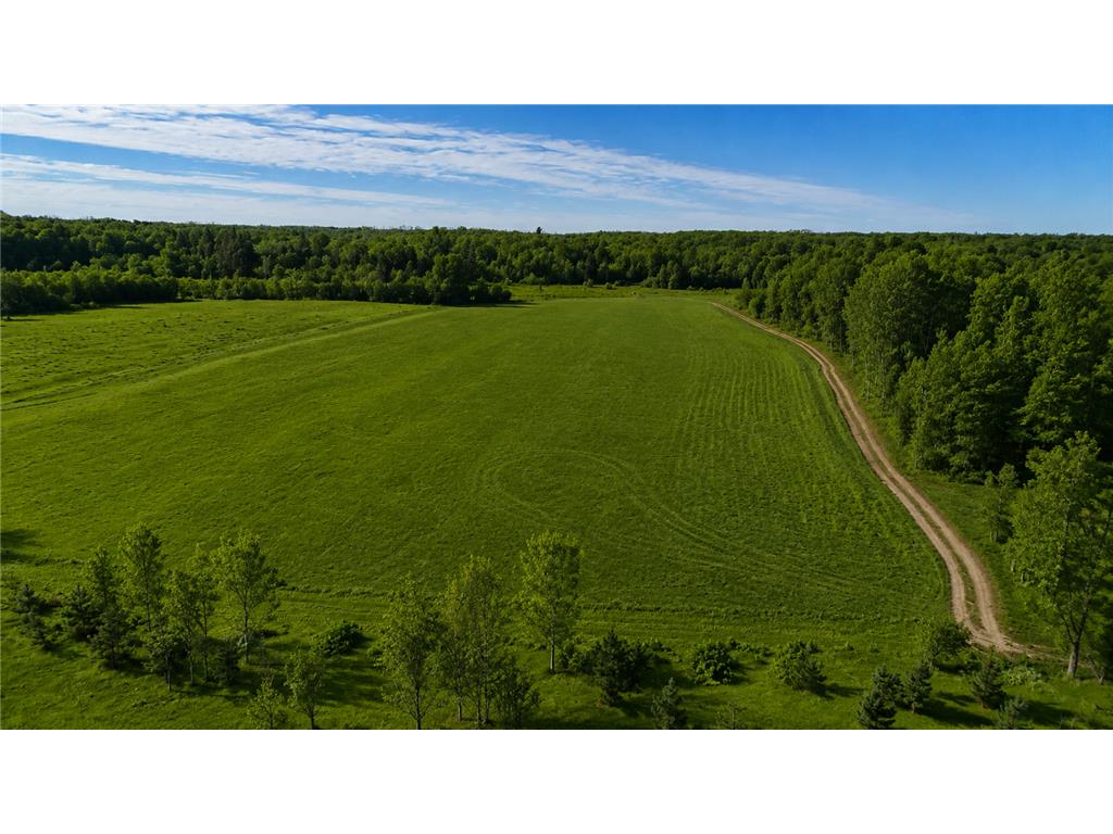 3231 Highway 65 Peace Twp MN 55051 7036612 image17