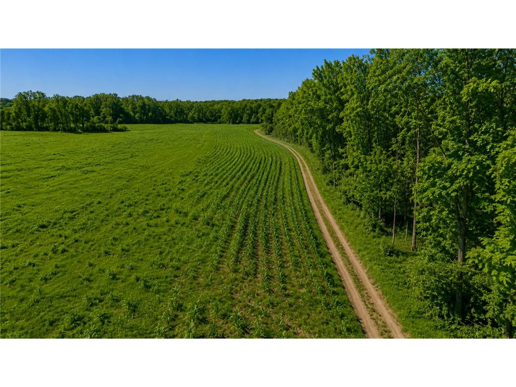 3231 Highway 65 Peace Twp MN 55051 7036612 image18