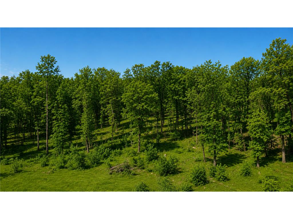 3231 Highway 65 Peace Twp MN 55051 7036612 image20