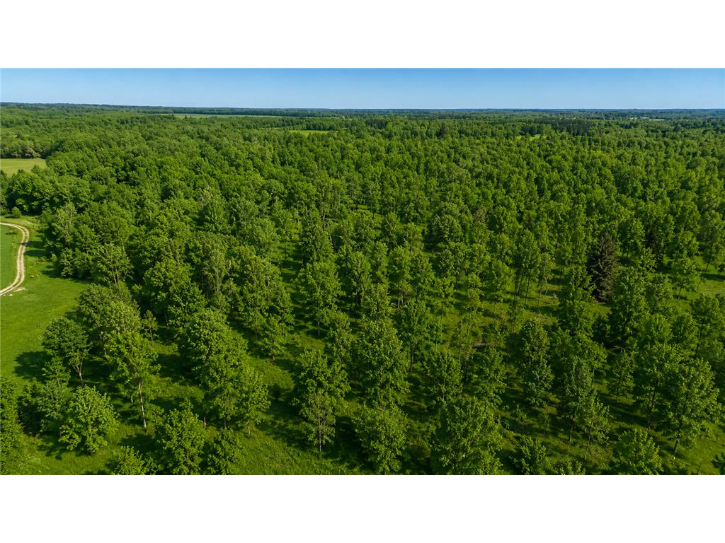 3231 Highway 65 Peace Twp MN 55051 7036612 image21