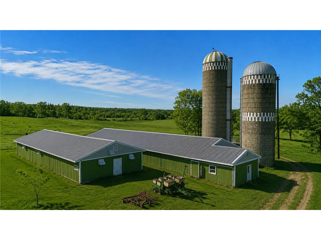 3231 Highway 65 Peace Twp MN 55051 7036612 image3