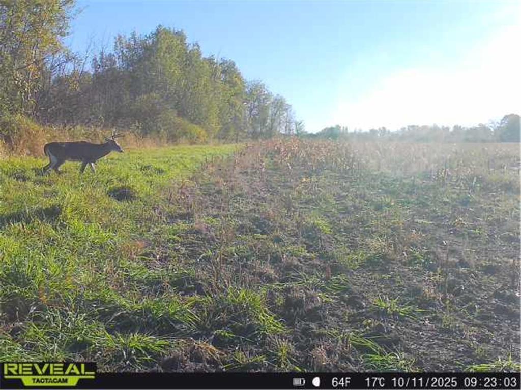 3231 Highway 65 Peace Twp MN 55051 7036612 image34