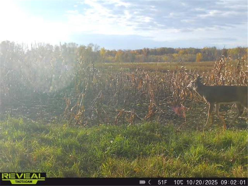 3231 Highway 65 Peace Twp MN 55051 7036612 image40
