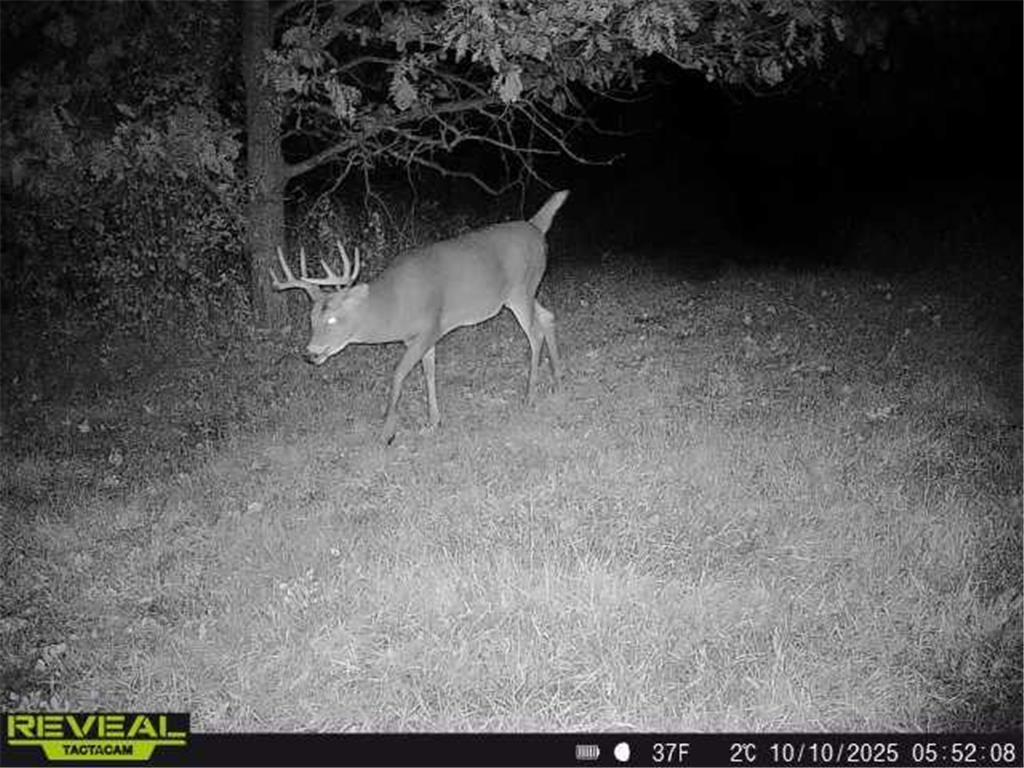 3231 Highway 65 Peace Twp MN 55051 7036612 image42