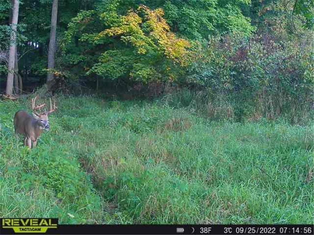 3231 Highway 65 Peace Twp MN 55051 7036612 image43