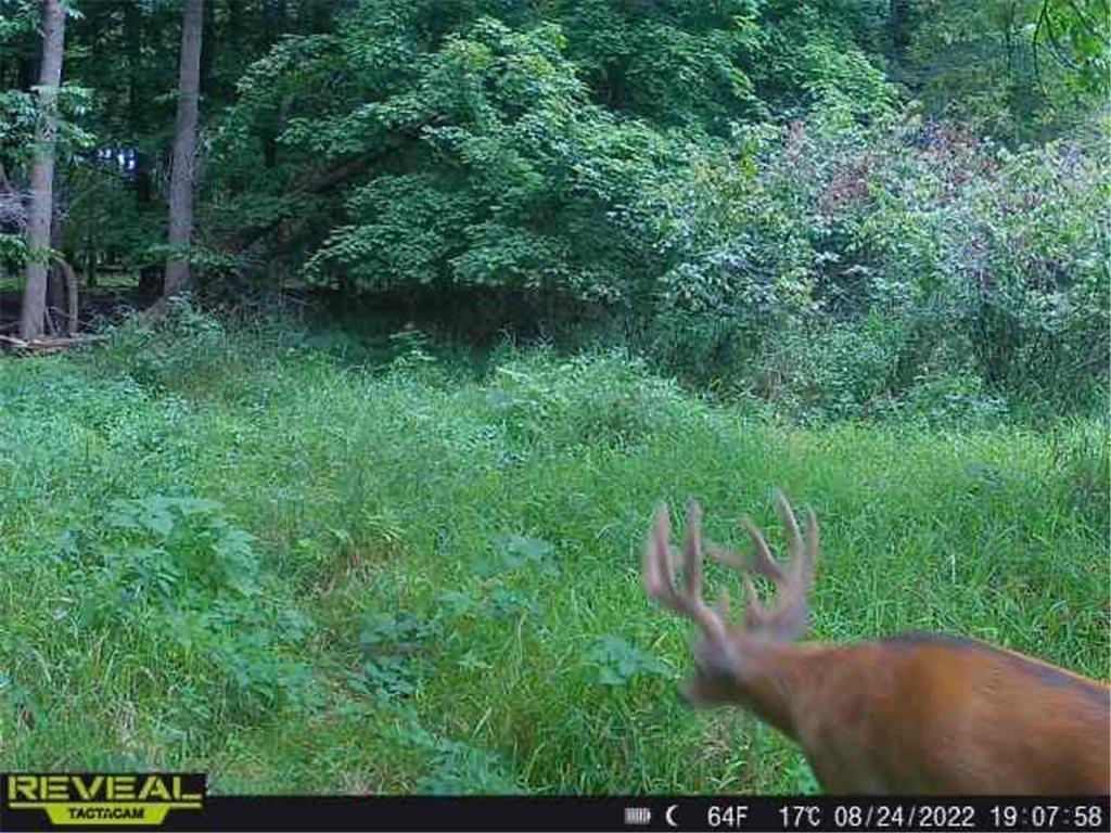 3231 Highway 65 Peace Twp MN 55051 7036612 image44