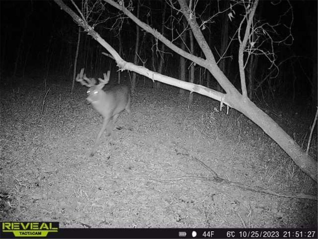 3231 Highway 65 Peace Twp MN 55051 7036612 image45