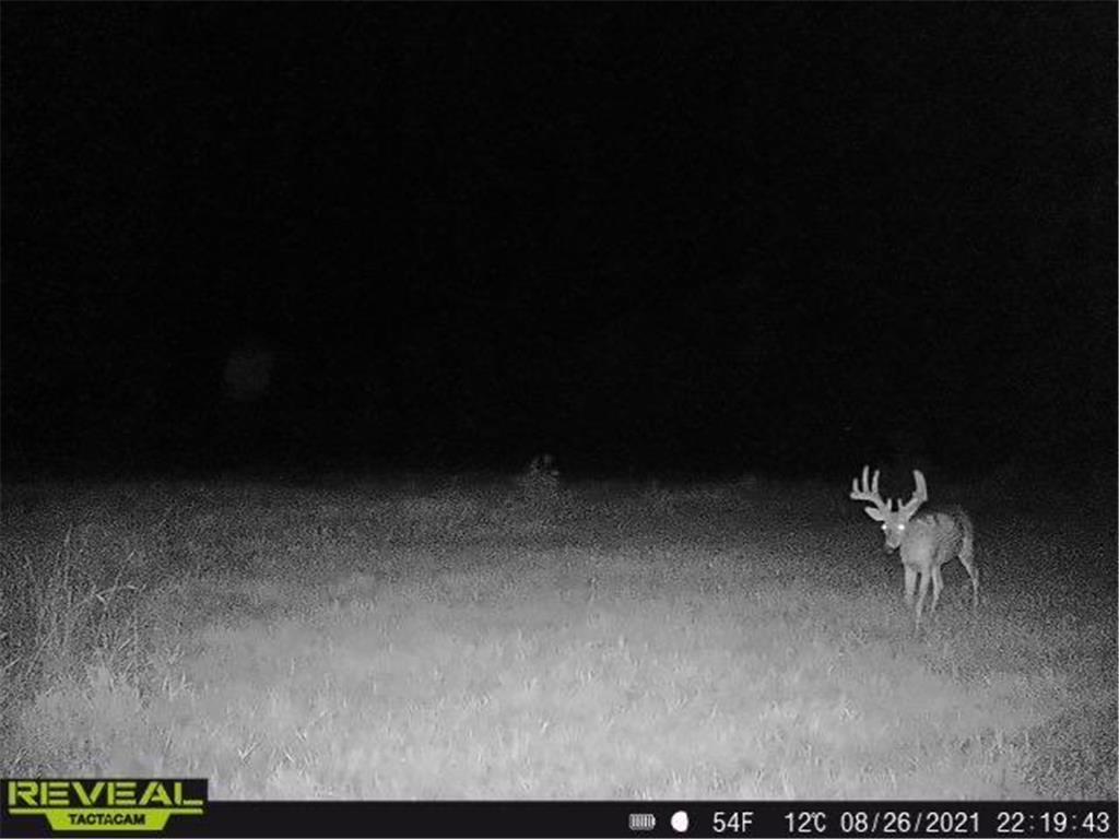 3231 Highway 65 Peace Twp MN 55051 7036612 image53