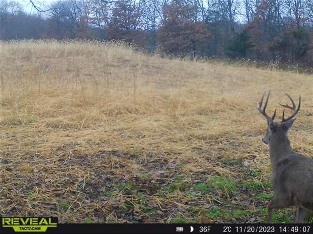 3231 Highway 65 Peace Twp MN 55051 7036612 image54