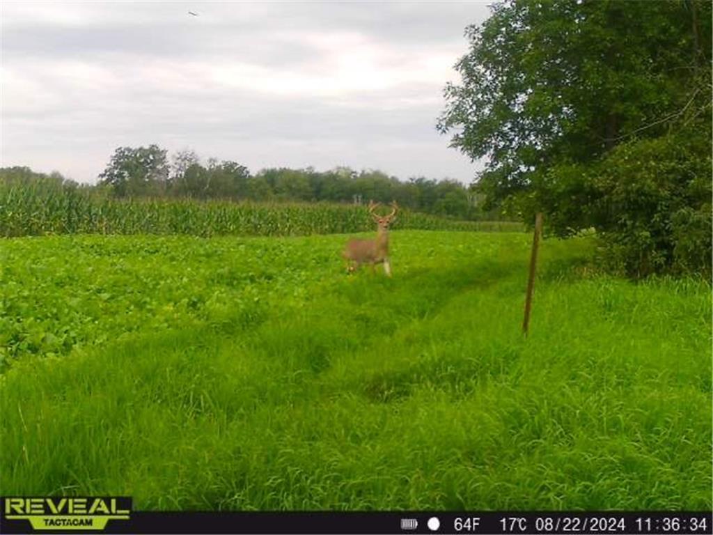 3231 Highway 65 Peace Twp MN 55051 7036612 image57