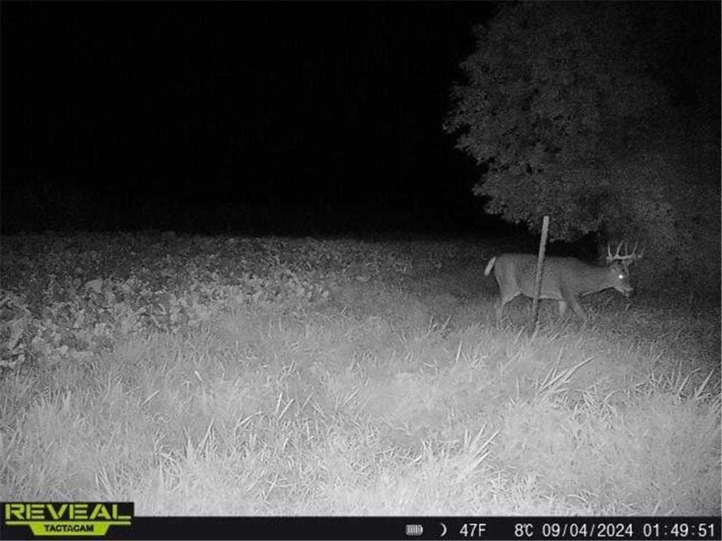 3231 Highway 65 Peace Twp MN 55051 7036612 image58