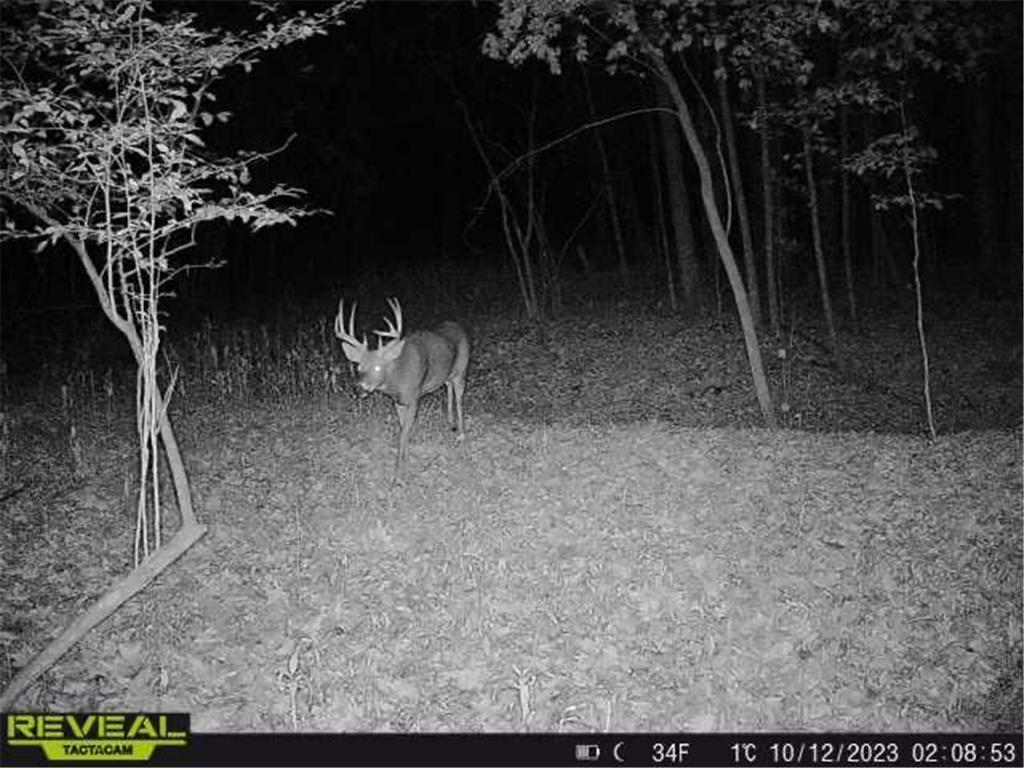 3231 Highway 65 Peace Twp MN 55051 7036612 image60
