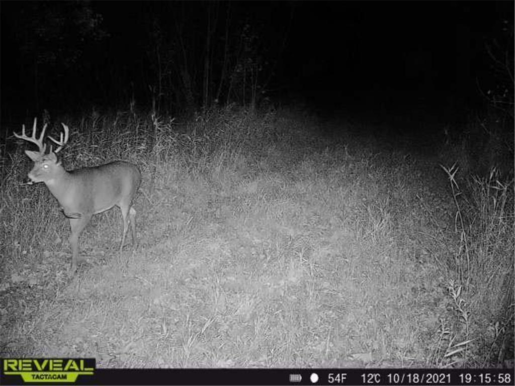 3231 Highway 65 Peace Twp MN 55051 7036612 image62